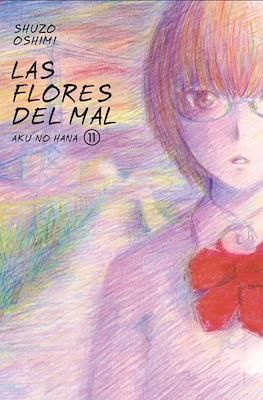 SH Las Flores del Mal Manga Volumen 11 Espanol Aku no Hana