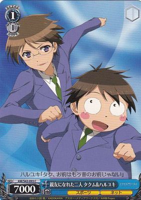 (Weiss Schwarz) Takumu &amp; Haruyuki, Becoming Close Friends / 親友になれた二人 タクム&amp;ハルユキ AW/S43-093 C Accel World