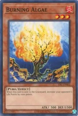 Burning Algae - IOC-EN062 - Common Unlimited (25th Reprint) Invasion of Chaos 25th Anniversary Singles