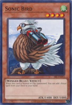 Sonic Bird - SRL-EN093 - Common Unlimited (25th Reprint) Spell Ruler 25th Anniversary Singles