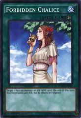 SJ Forbidden Chalice WIRA-EN053 YuGiOh Wing Raiders