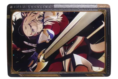 SJ Cha Hae-In SR Solo Leveling Eaki R-06 Anime Collectible Trading Card