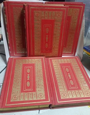 NELA-u, Set de Libros Clasicos  -El Ultimo Mohicano -Viajes de Guliver -Madame Bovary -Crime y Catigo (Dano en las paginas internas, aun legible) -La Isla Del Tesoro (Dano en el Lomo y Poratda)