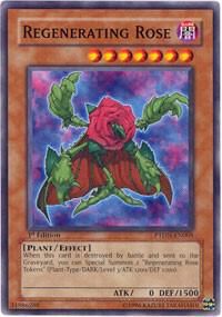 SJ Regenerating Rose - Phantom Darkness (PTDN) Phantom Darkness