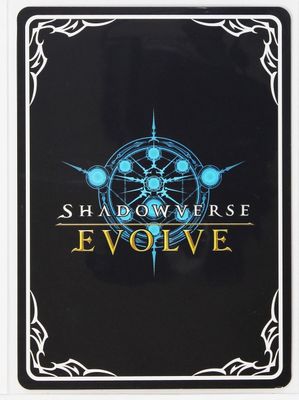 Shadowverse Evolve Singles