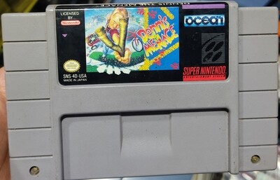 SH1 Dennis The Menace Super Nintendo Cartucho