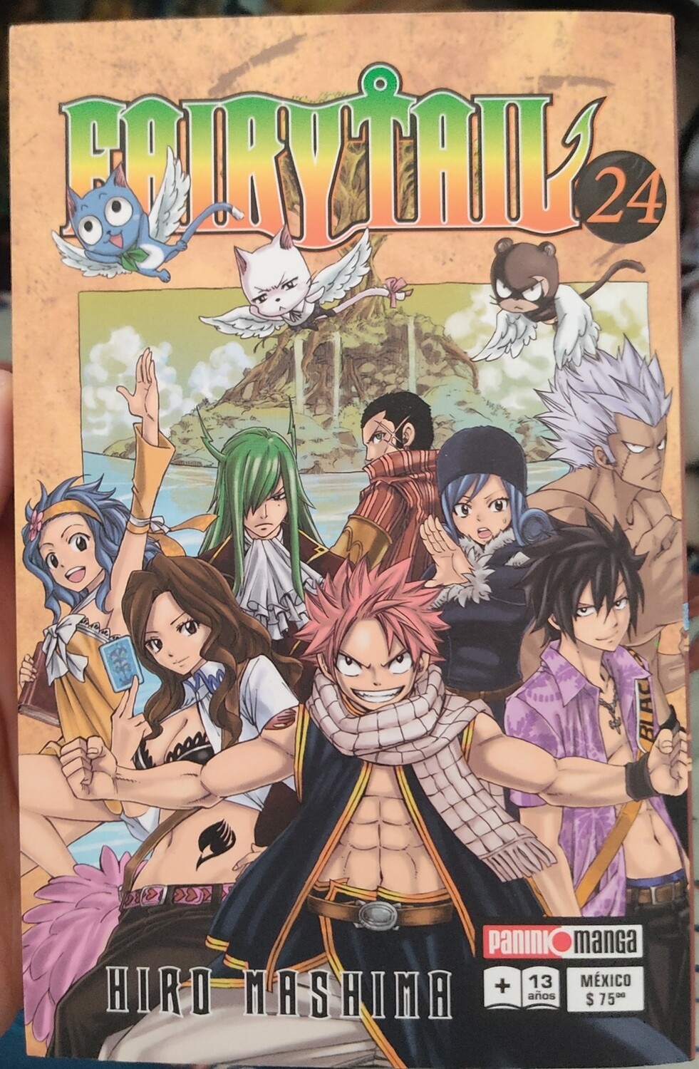 SJ2 Fairy Tail Manga Volumen 24 Espanol Panini