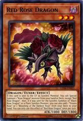 SJ Red Rose Dragon LED4-EN025 YuGiOh Legendary Duelists: Sisters of the Rose Rare