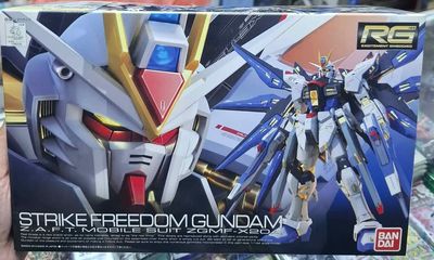 SJ Strike Freedom Gundam RG 1/144 Nuevo Bandai