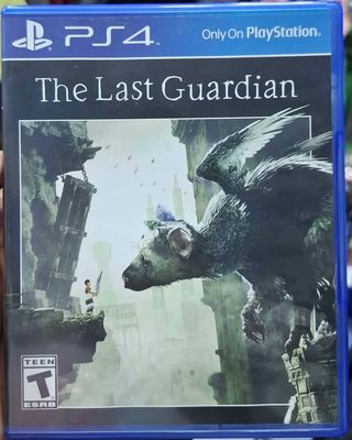 SJ1 The Last Guardian Playstation 4 Usado Completo