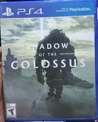 SJ1 Shadow of the Colossus Playstation 4 Usado Completo