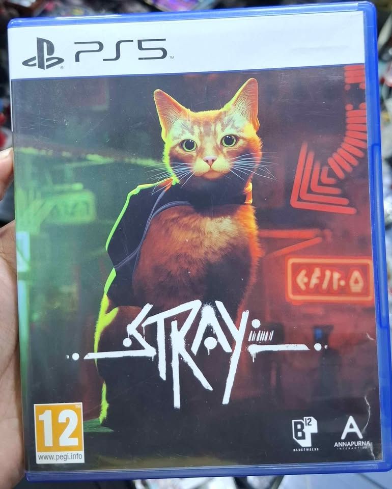 SJ1 Stray Playstation 5 Usado Completo