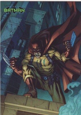 SJ Batman 41 DC Comics Catman The Legend Trading Cards