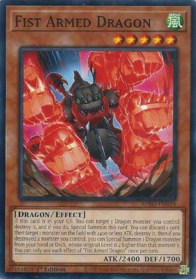 SJF Fist Armed Dragon - Burst Protocol (BPRO) Burst Protocol
