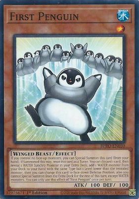 SJF First Penguin - Burst Protocol (BPRO) Burst Protocol