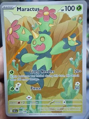 SJF Maractus Ilustration Rare Full Art Black Bolt Pokemon TCG