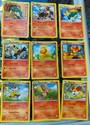 Cyndaquill Combusken Entei Quilava Torchic Pansear Braixen Fletchinder Fennekin