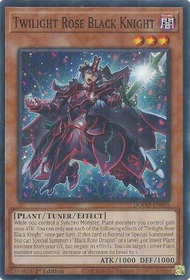 Twilight Rose Black Knight - Doom of Dimensions (DOOD) Doom of Dimensions *Espanol*