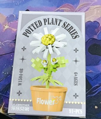 KM Flor Margaritas  Miniblocks Potted Plant Series