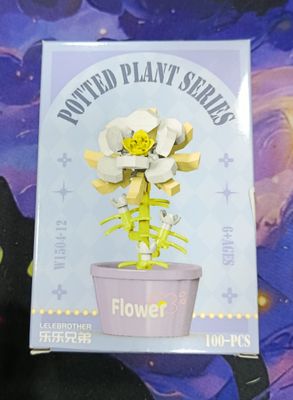 KM Flor Blanca Miniblocks Potted Plant Series