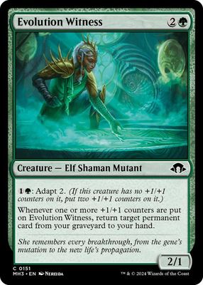 Sh4 Evolution Witness - Modern Horizons 3 (MH3) Foil