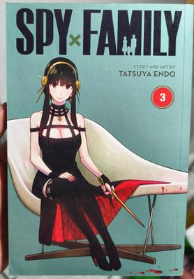 SJ6 Soy X Family Manga Volumen 3 Ingles