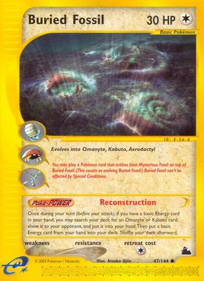 SJF Buried Fossil - Skyridge (SK)