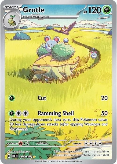 SJF Grotle - 164/162 - SV05: