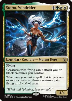 SJF Storm, Windrider - Marvel Super Heroes (MSH)