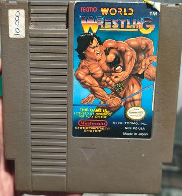 SJ6 World Wrestling NES Cartucho