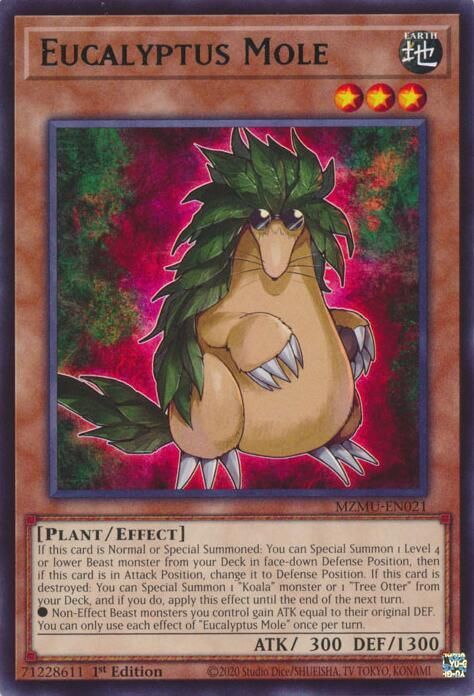Eucalyptus Mole - Maze of Muertos Rare