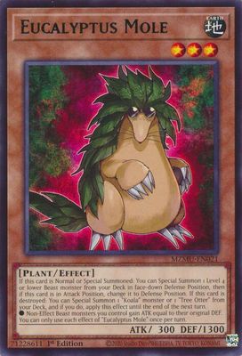 Eucalyptus Mole - Maze of Muertos Rare