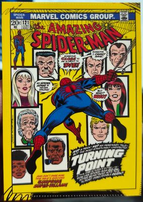 The Amazing Spider Carta C14 Panini