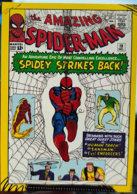 The Amazing Spider Man Carta C39 Panini