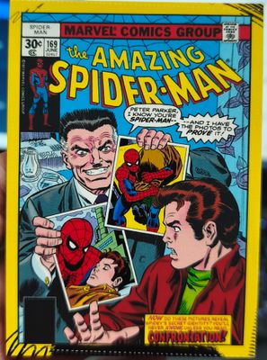 The Amazing Spider Man Carta C18 Panini