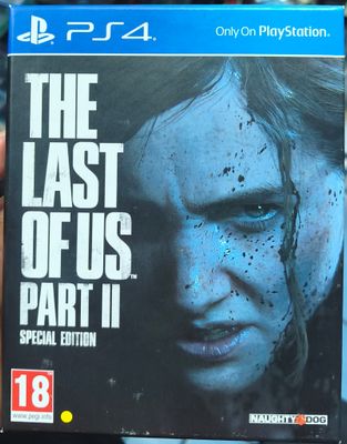 SJ2 The Last of Us Part 2 Special Edition Playstation 4 Usado Completo