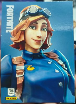 Airheart Rare Outfit 153 Fortnite Panini