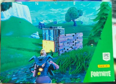Common 21 Fortnite Panini
