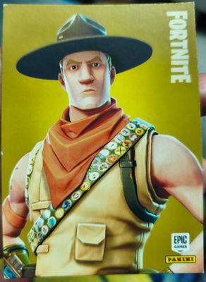 Sasha Sergeant Rare Outfit 195 Fortnite Panini