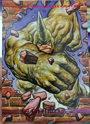 Rhino 48 SkyBox Maevel 1993
