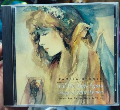 SJ6 Pamela Bruner Till We Meet Again Songd of Celtic Women CD Música Original Usado Completo