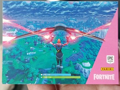 Common 13 Fortnite Panini
