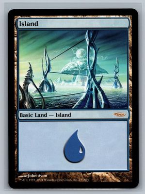SJF Magic The Gathering 2004 Arena Promos Island #2/8 Land MTG TCG CCG