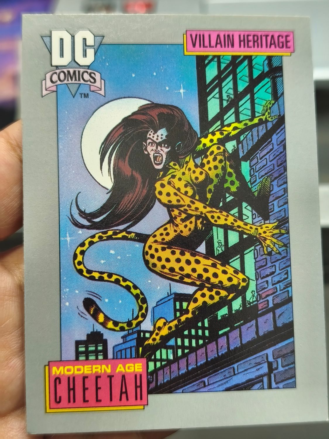 Cheetah 24 DC 1991