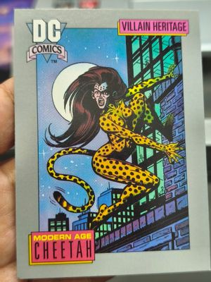 Cheetah 24 DC 1991