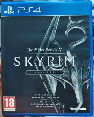 SJ1 Skyrim Playstation 4 Usado Completo