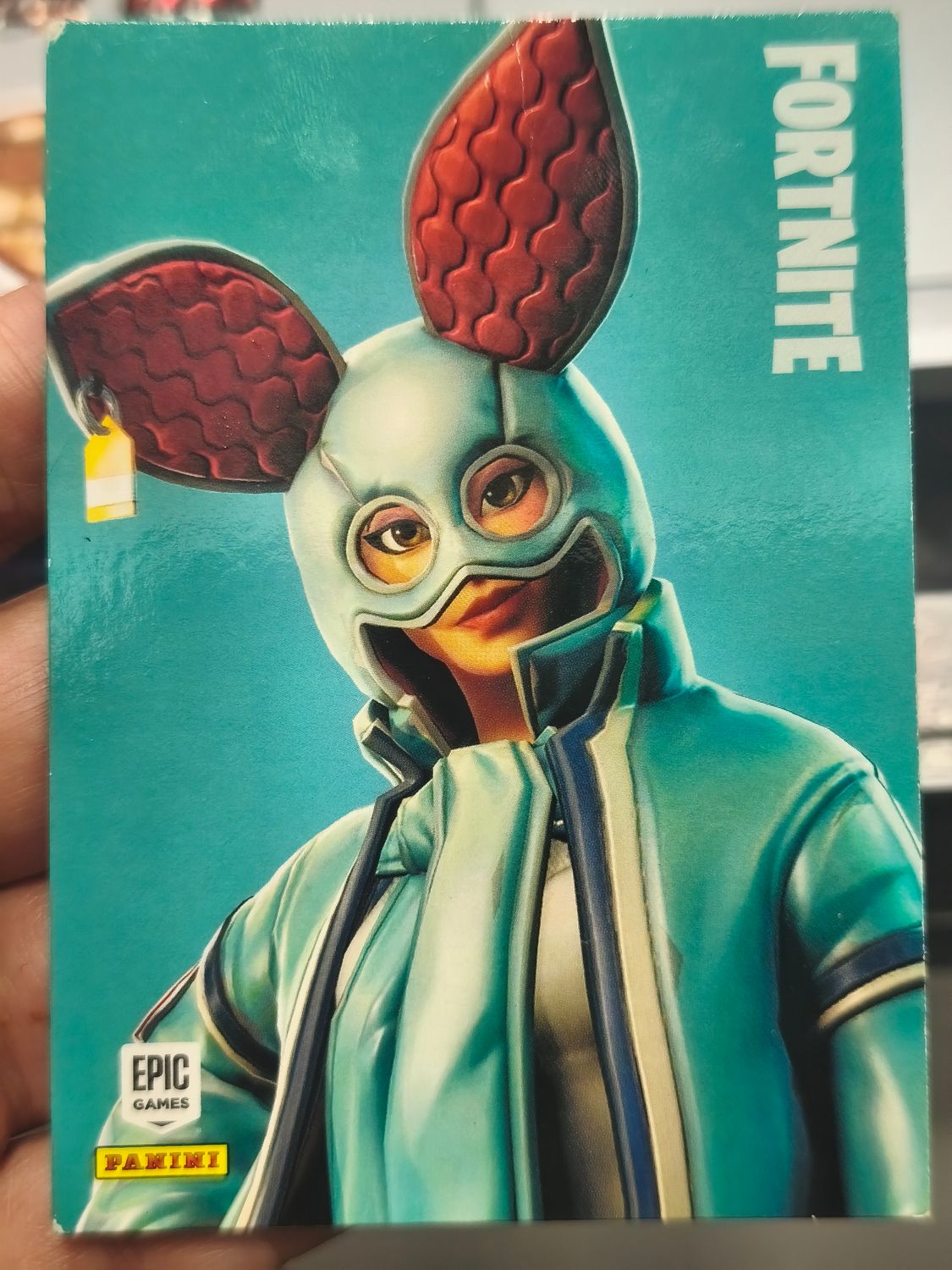 Flapjackie 213 Epic outfit Fortnite Panini