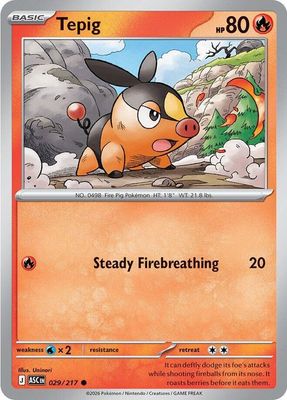 Tepig - ME: Ascended Heroes (ASC)