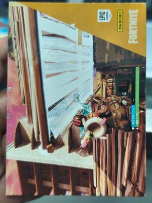 Common 17 Fortnite Panini 2019