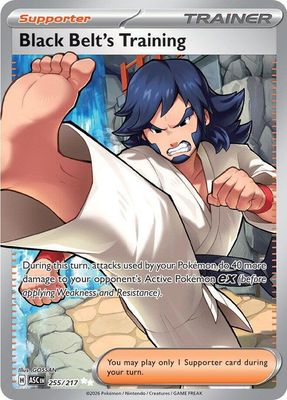 SJF Black Belt's Training - ME: Ascended Heroes (ASC)